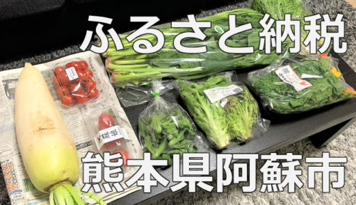 【ふるさと納税】季節のお野菜セット（熊本県阿蘇市）